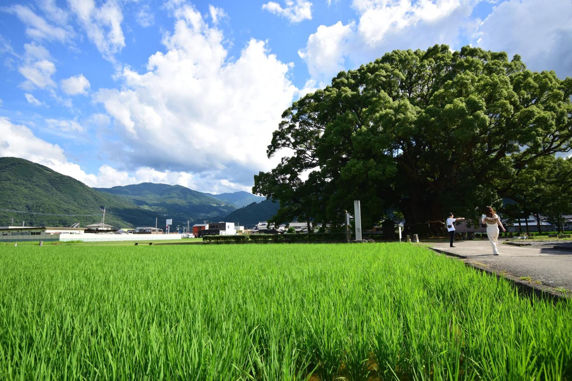 にし阿波ねすと Hotel Higashimiyoshi Bagian luar foto