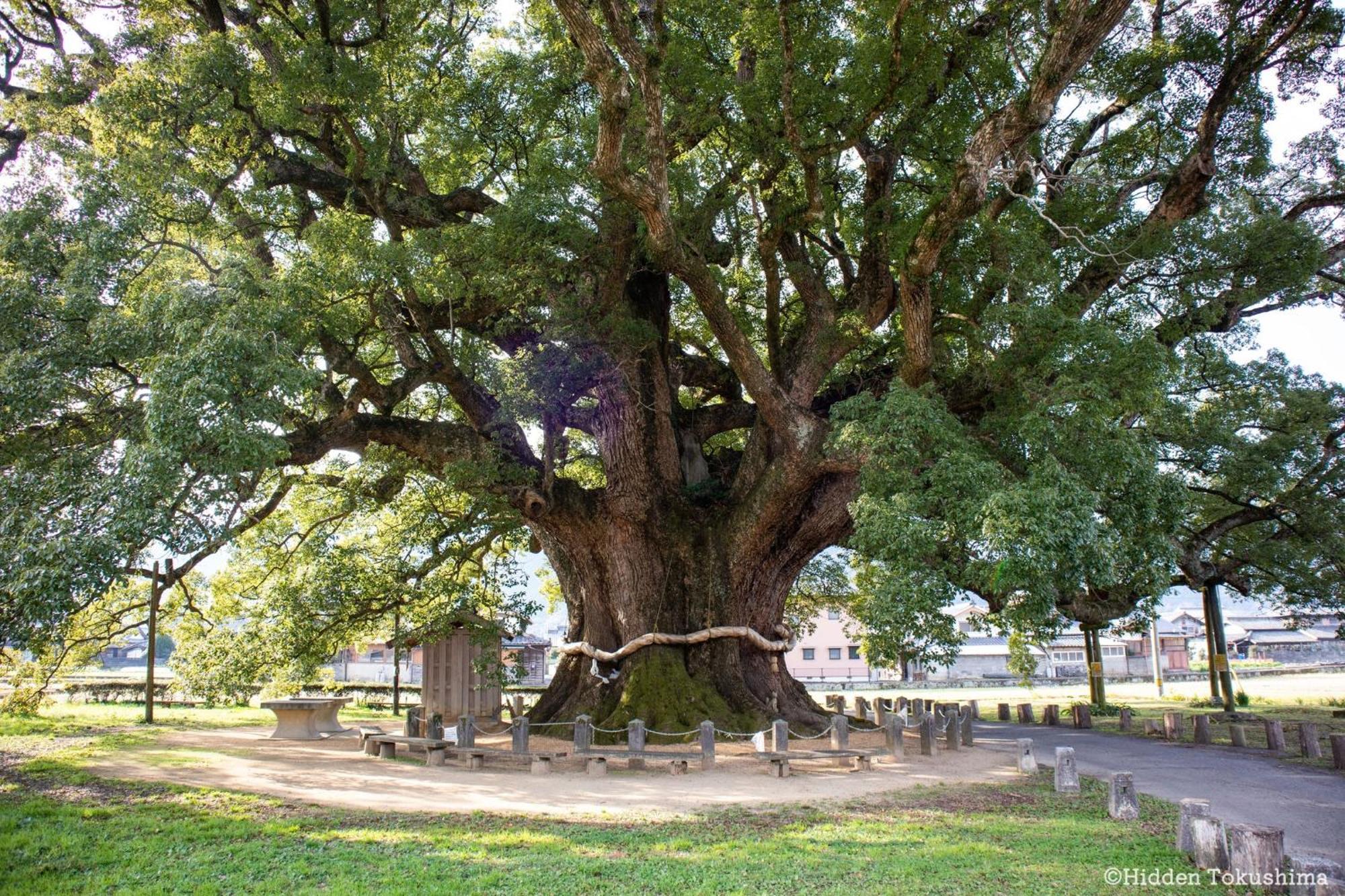 にし阿波ねすと Hotel Higashimiyoshi Bagian luar foto