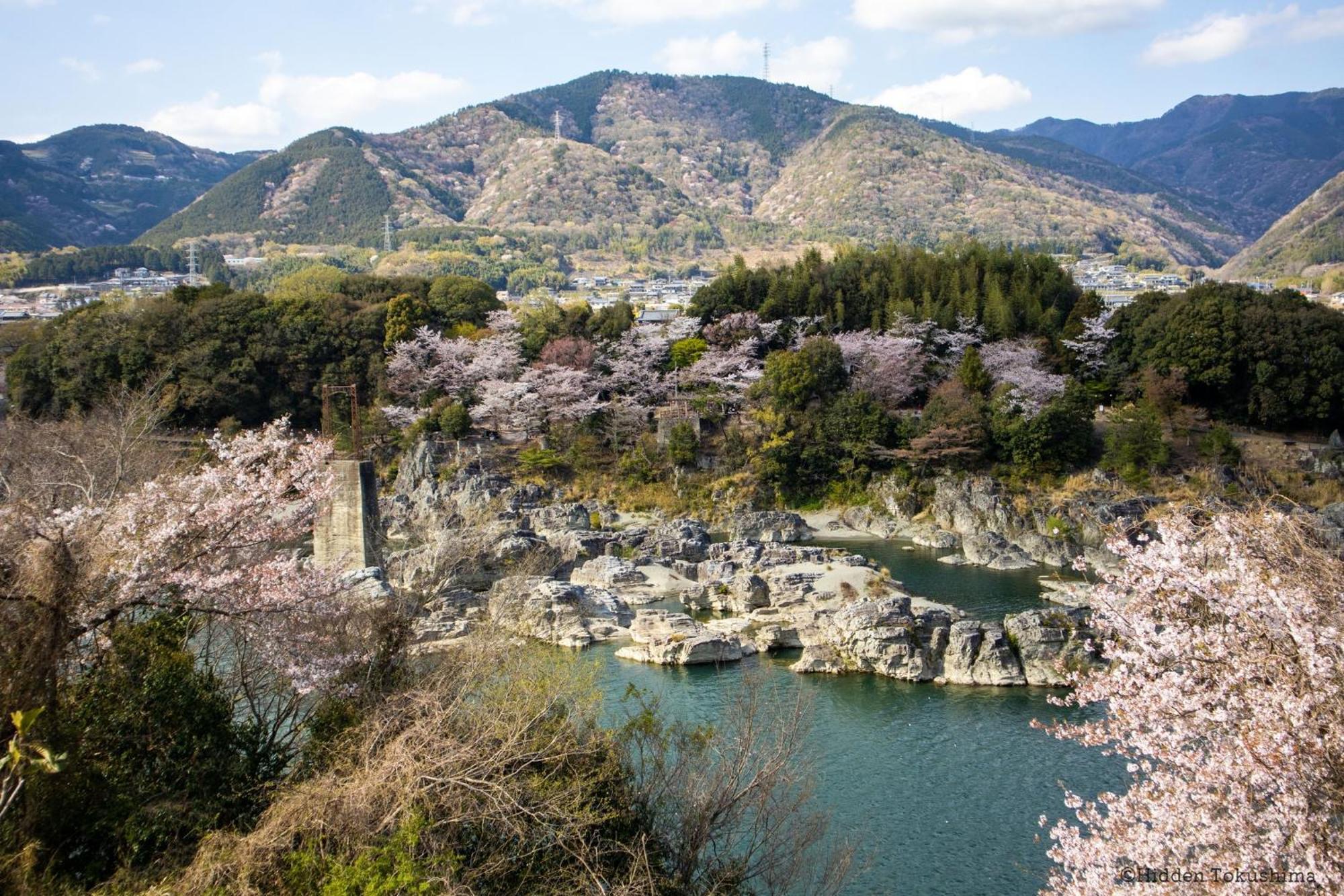 にし阿波ねすと Hotel Higashimiyoshi Bagian luar foto
